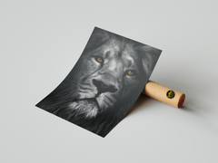 Majestic Lion Wall Art – Bold Jungle King Portrait Print