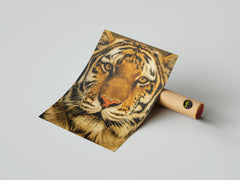 Soul of the Wild – Tiger Face Wall Art Print