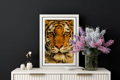 Soul of the Wild – Tiger Face Wall Art Print
