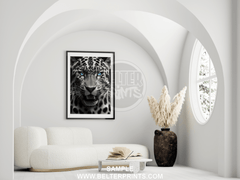 Blue|Eyed Leopard Wall Art – Fierce Jungle Cat Poster Print