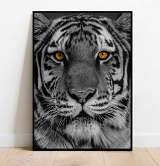 black-and-white-tiger-golden-eyes-wall-art-belter-prints