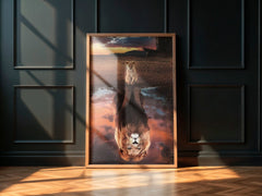 Lion Cub Reflection | Dream Big Wall Art Print - Print