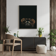 lioness-face-looking-up-wall-print-belter-prints