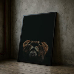 Lioness Looking Up | Bold Wildlife Wall Art Print - Print