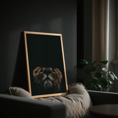 Lioness Looking Up | Bold Wildlife Wall Art Print - Print