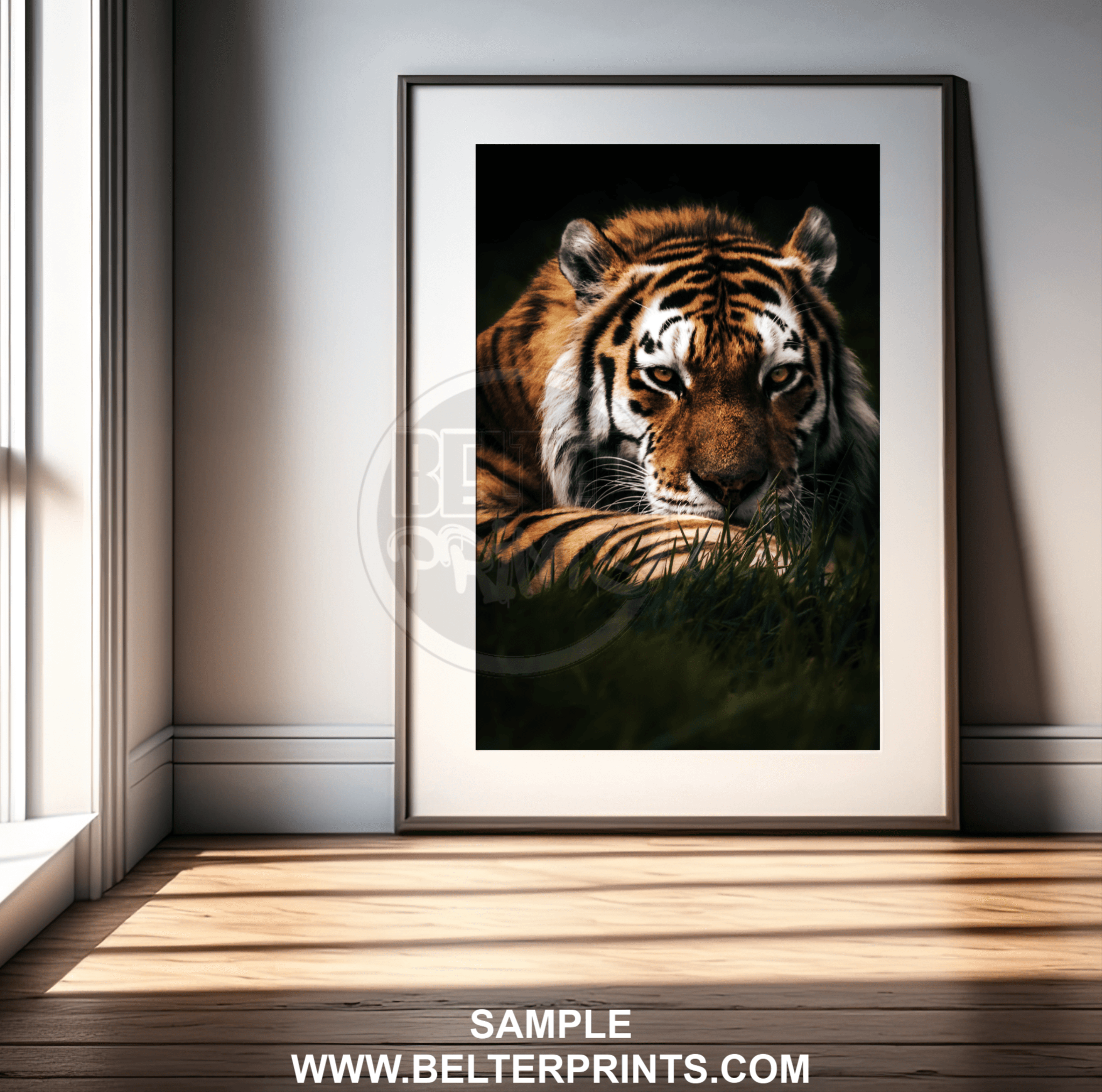 Shadow Stalker – Lurking Tiger Wall Art Print