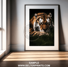 Shadow Stalker – Lurking Tiger Wall Art Print