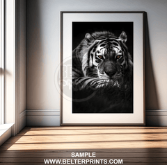 Shadow Stalker – Lurking Tiger Wall Art Print