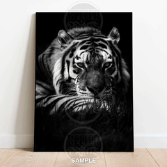 Shadow Stalker – Lurking Tiger Wall Art Print