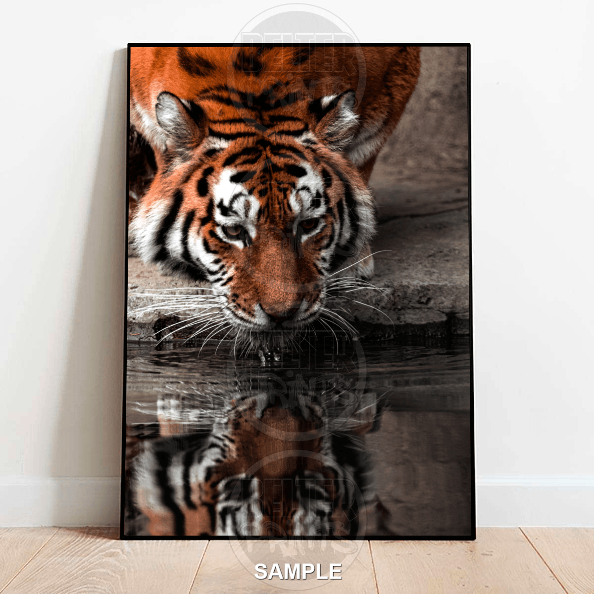 Reflections of Power – Drinking Tiger Wall Art Print