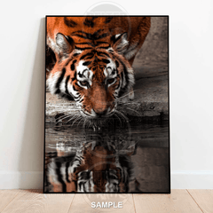 Reflections of Power – Drinking Tiger Wall Art Print