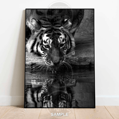 Reflections of Power – Drinking Tiger Wall Art Print