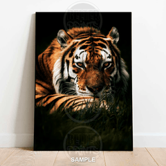 Shadow Stalker – Lurking Tiger Wall Art Print