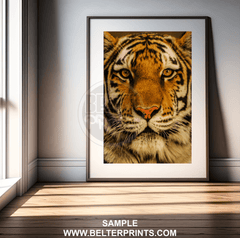 Soul of the Wild – Tiger Face Wall Art Print