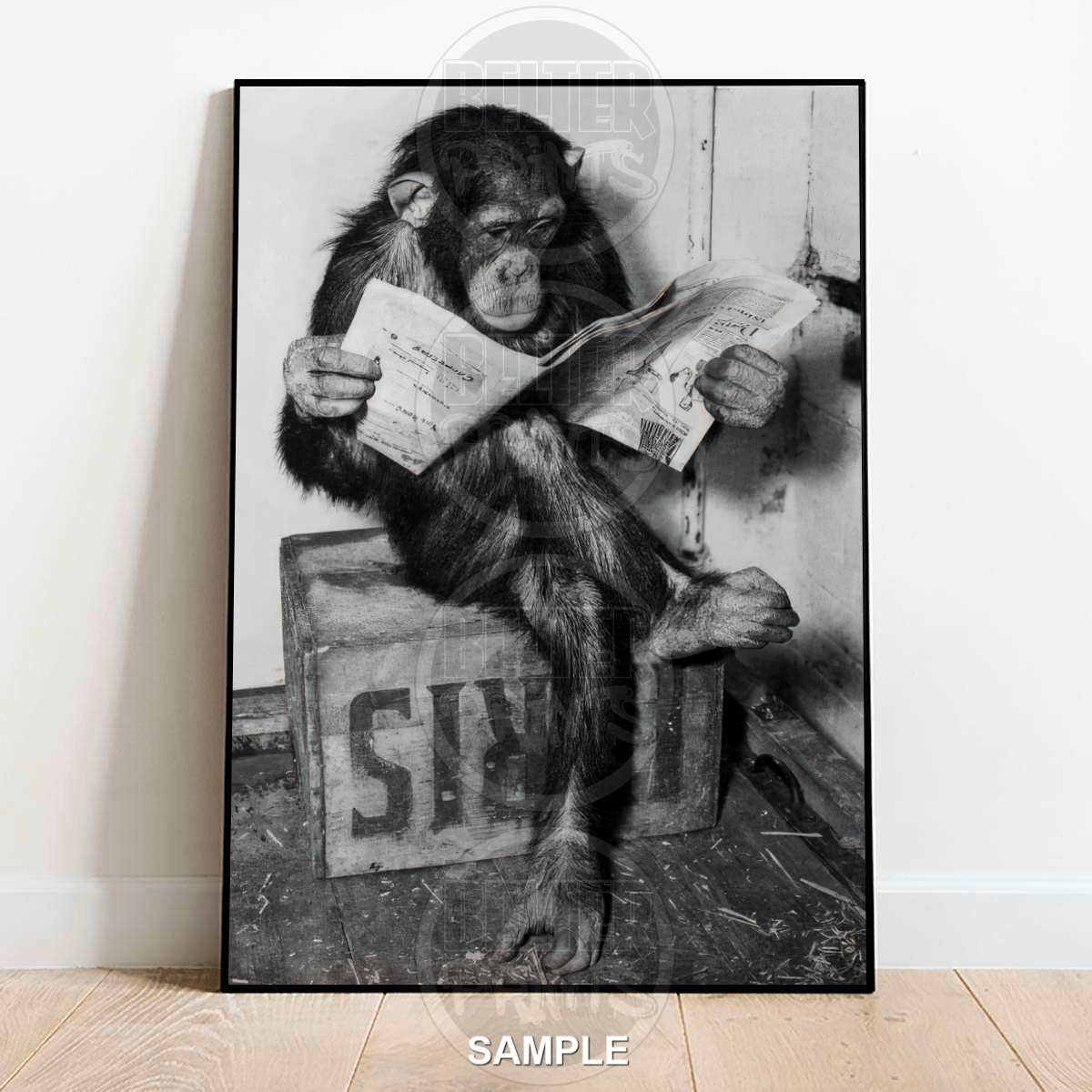 Ape Reading Paper Wall Art Print – Funny Intelligent Primate Decor