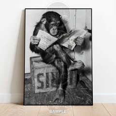 Ape Reading Paper Wall Art Print – Funny Intelligent Primate Decor