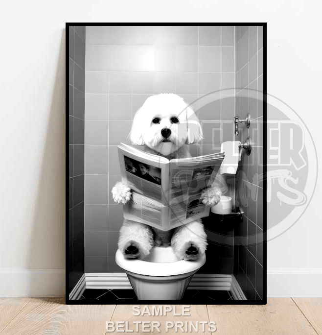 bichon-frise-on-toilet-wall-art-print
