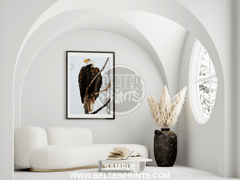 bald-eagle-portrait-on-tree-wall-art-print-decor