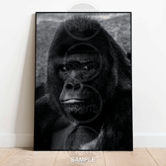gorilla-portrait-up-close-wall-art-print-decor