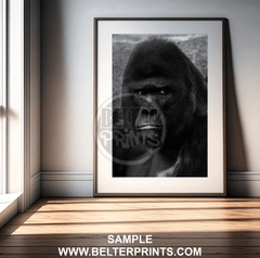 gorilla-portrait-up-close-wall-art-print
