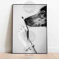 hush-dog-funny-wall-art-print