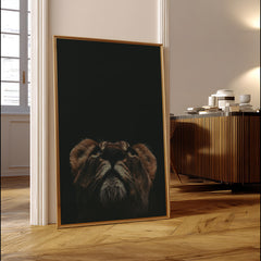 lioness-portrait-looking-up-art-print-belter-prints