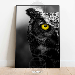 owl-portrait-colour-black-white-wall-art-print-poster