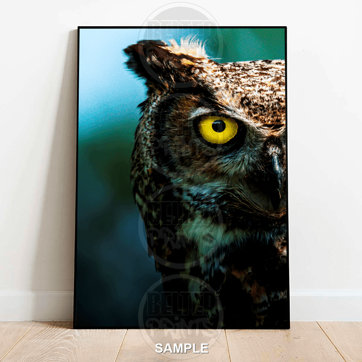 owl-portrait-colour-black-white-wall-art-print