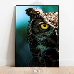 owl-portrait-colour-black-white-wall-art-print