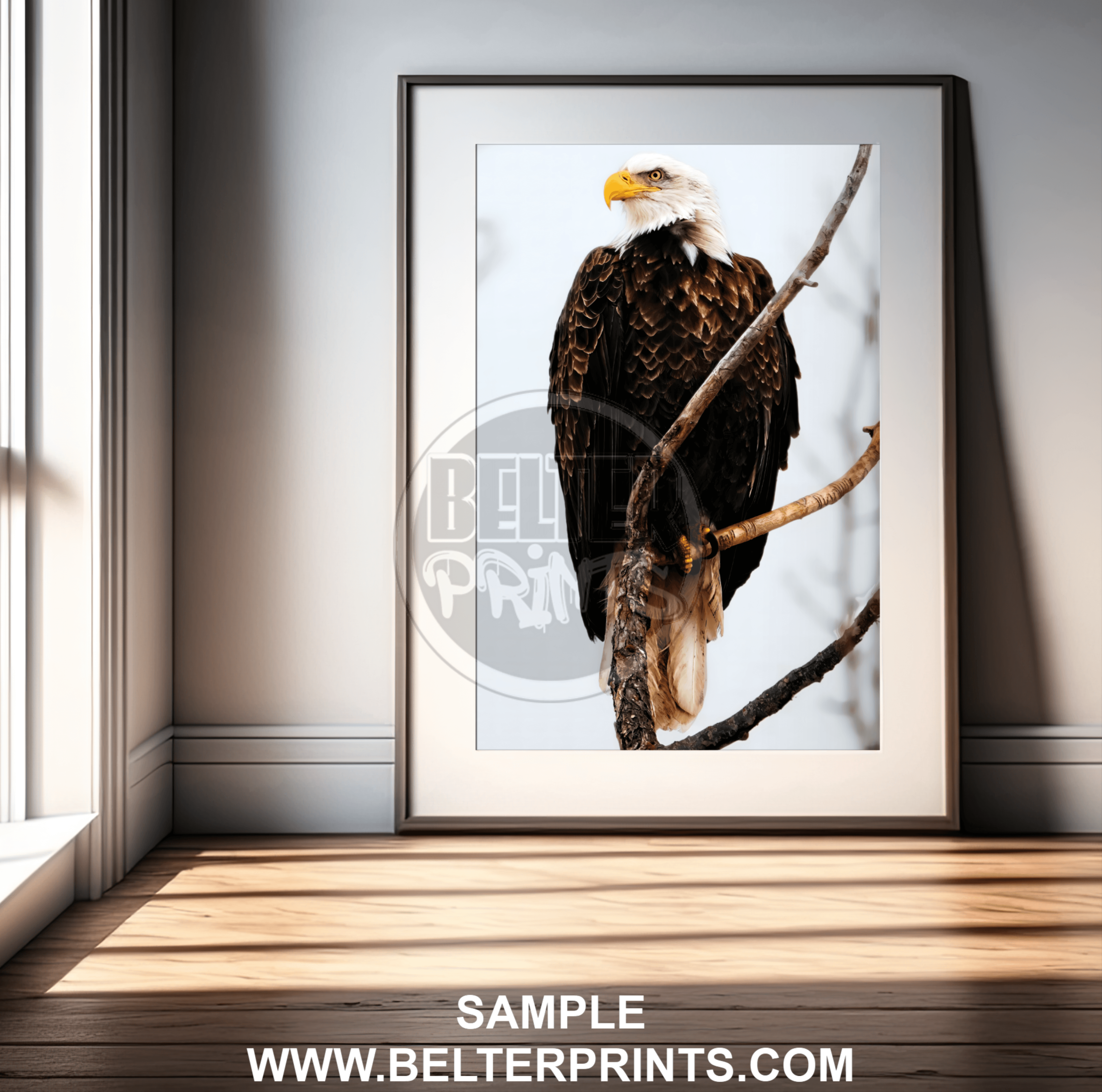 bald-eagle-portrait-on-tree-wall-art-print-decor