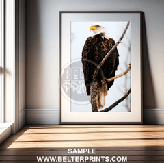 bald-eagle-portrait-on-tree-wall-art-print-decor