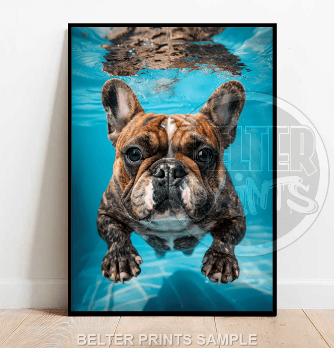 underwater-french-bulldog-wall-art-print