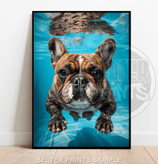 underwater-french-bulldog-wall-art-print